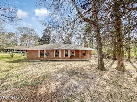 Homes For Sale - 11310 Hwy 24<br/> Wilkinson County, Centreville, MS 39631