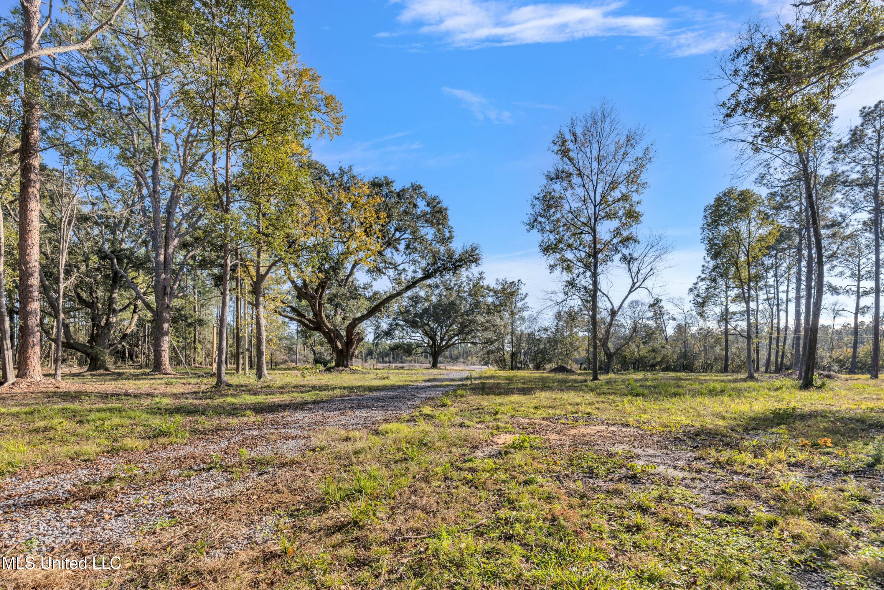 4009 Orange Grove Road, Moss Point, Mississippi image 6