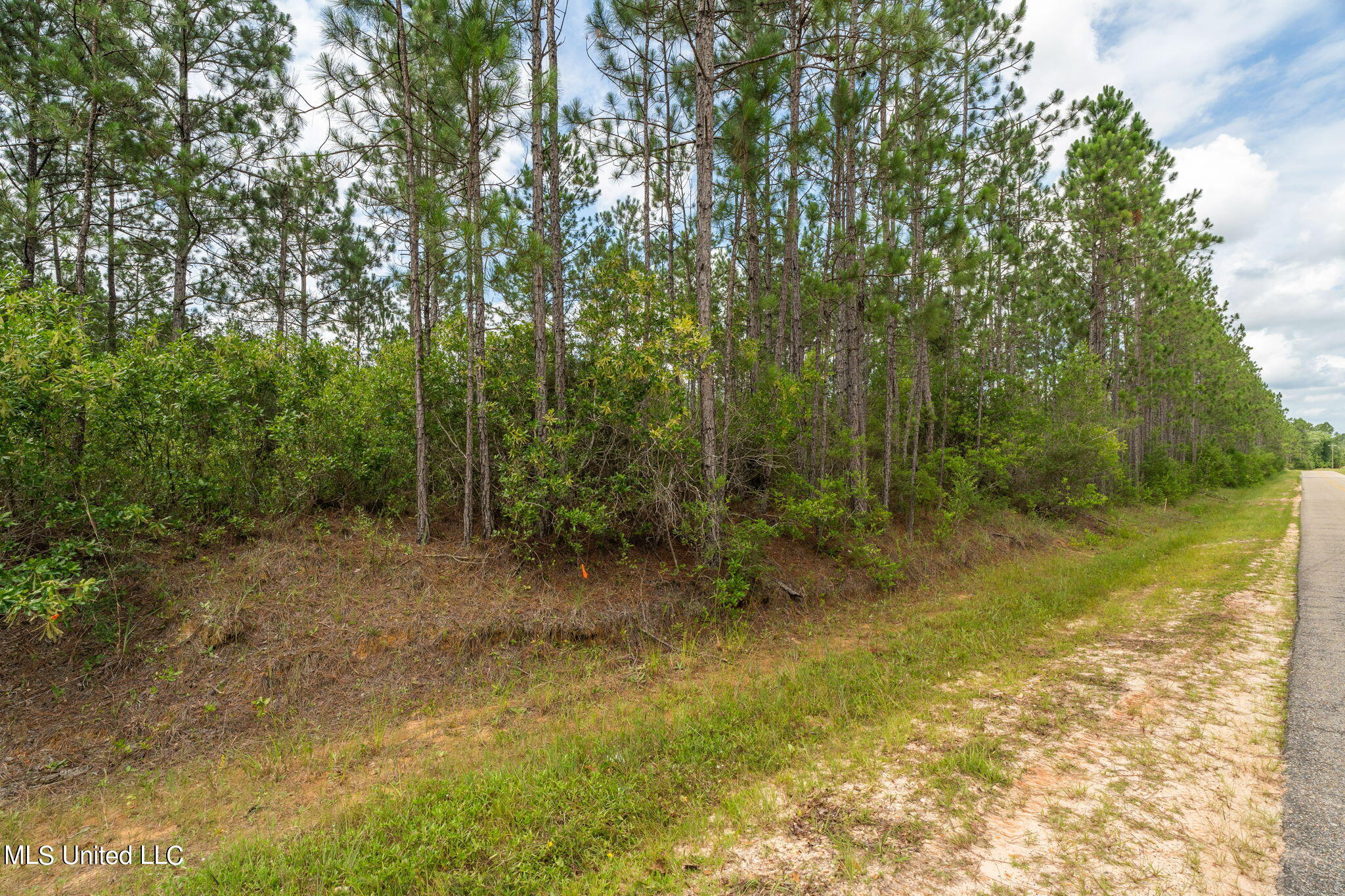 Herman Ladner Road, Saucier, Mississippi image 9