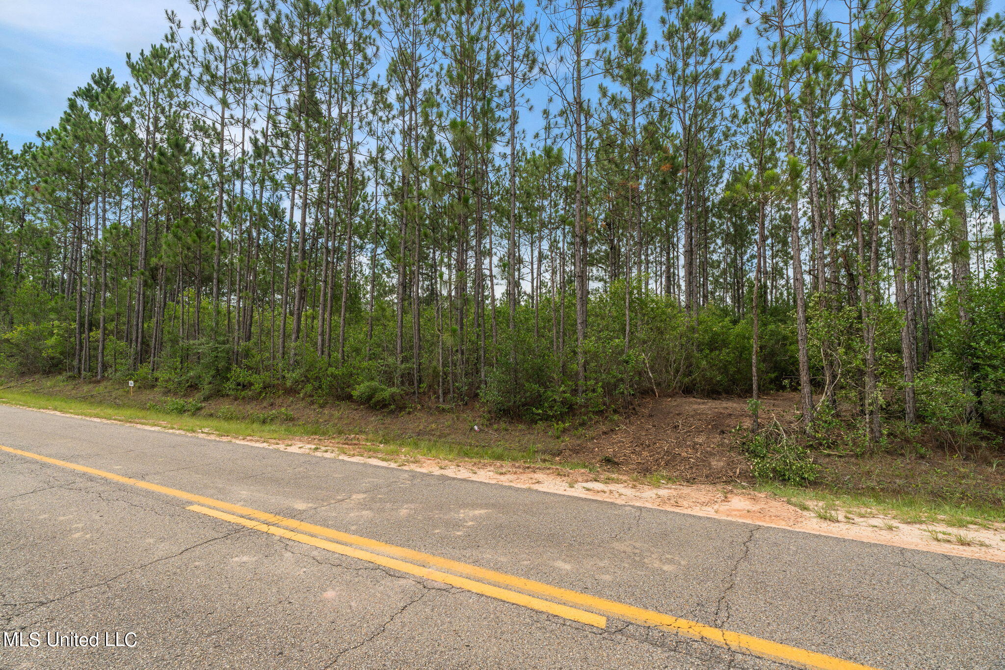 Herman Ladner Road, Saucier, Mississippi image 7