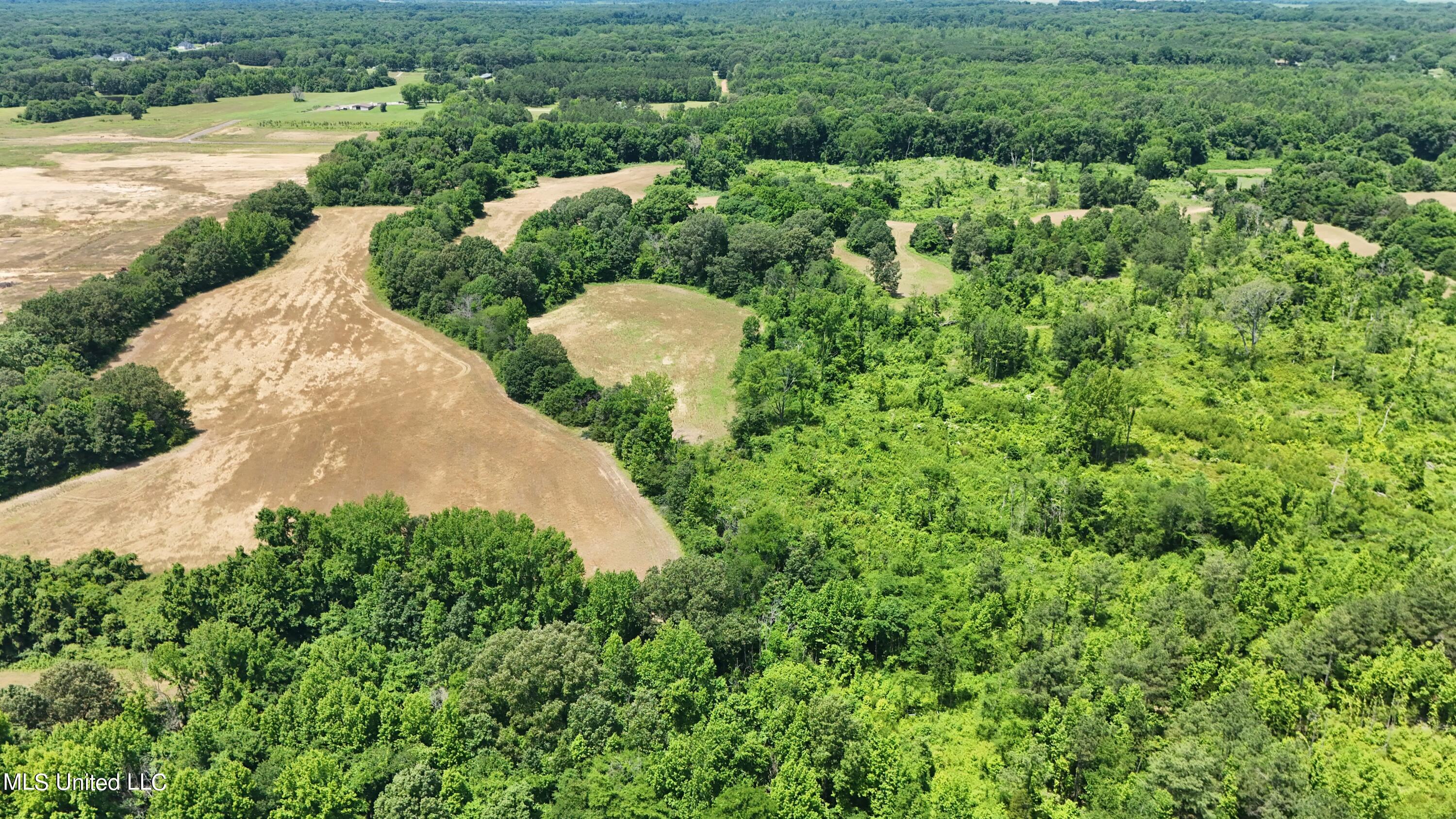 69 Newell Road, Lake Cormorant, Mississippi image 4