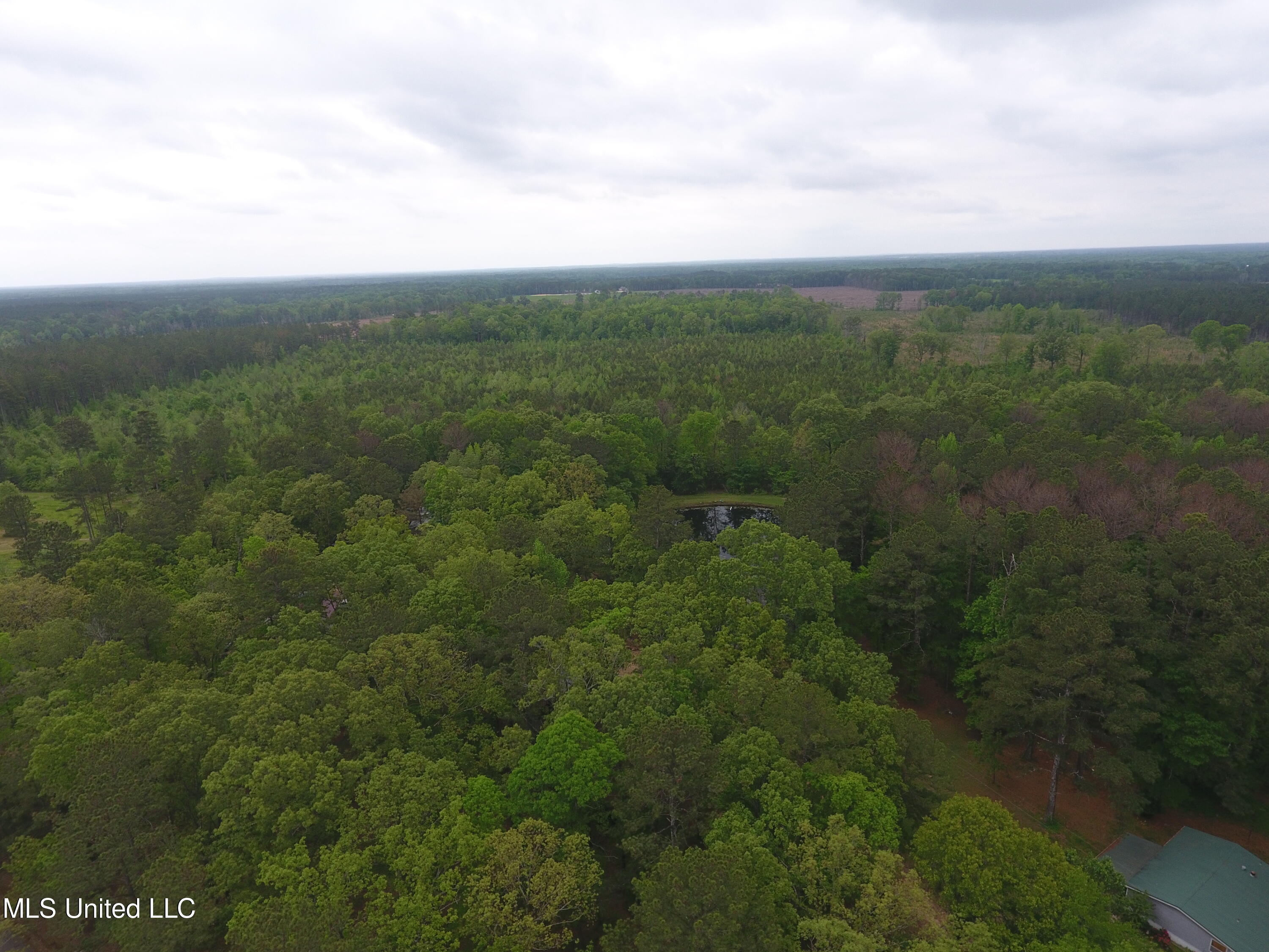 Lone Pine Church Road, Lena, Mississippi image 27