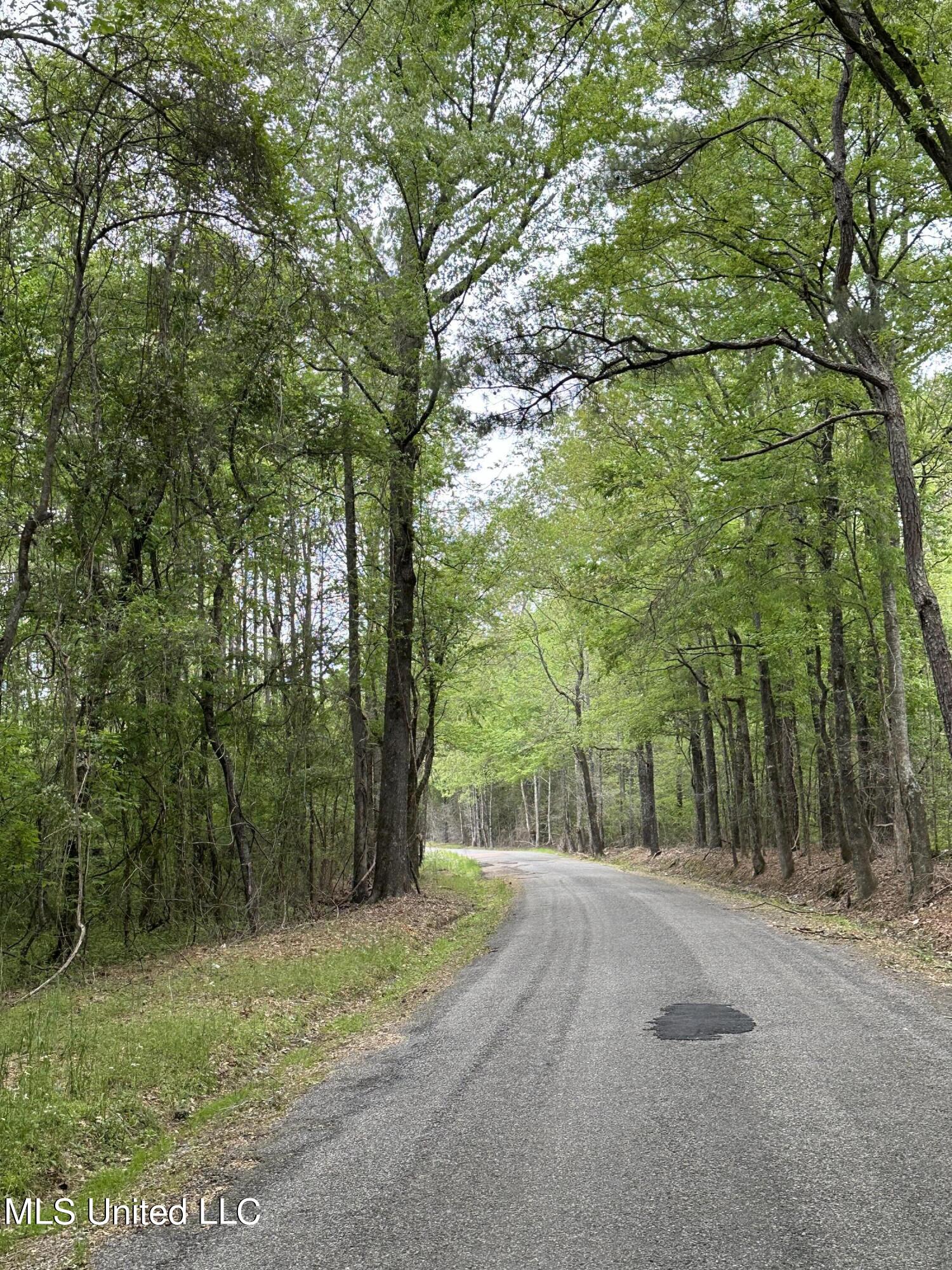 Lone Pine Church Road, Lena, Mississippi image 1