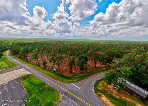 Vacant Land For Sale - NHN LOT 4 Ramsey Road<br/> Saucier, MS 39574