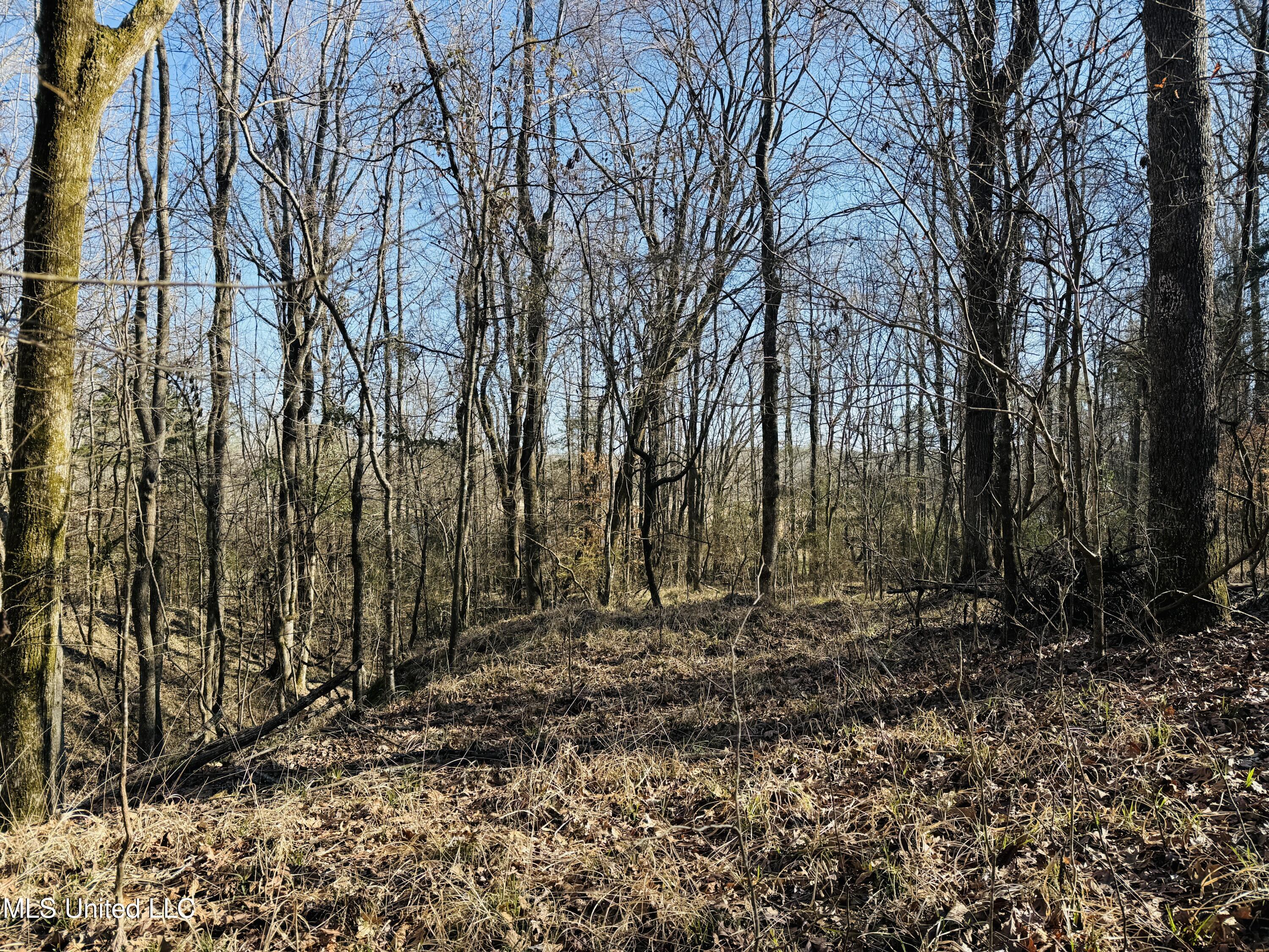24929 Highway 12, Lexington, Mississippi image 33