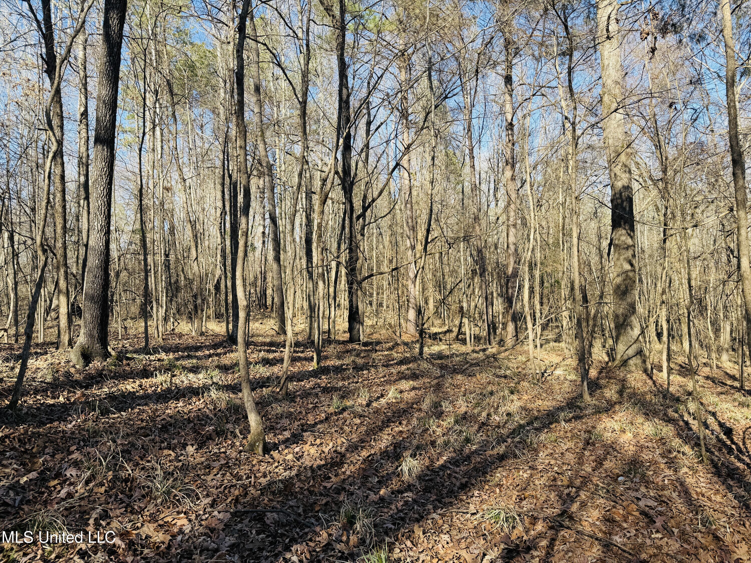 24929 Highway 12, Lexington, Mississippi image 34