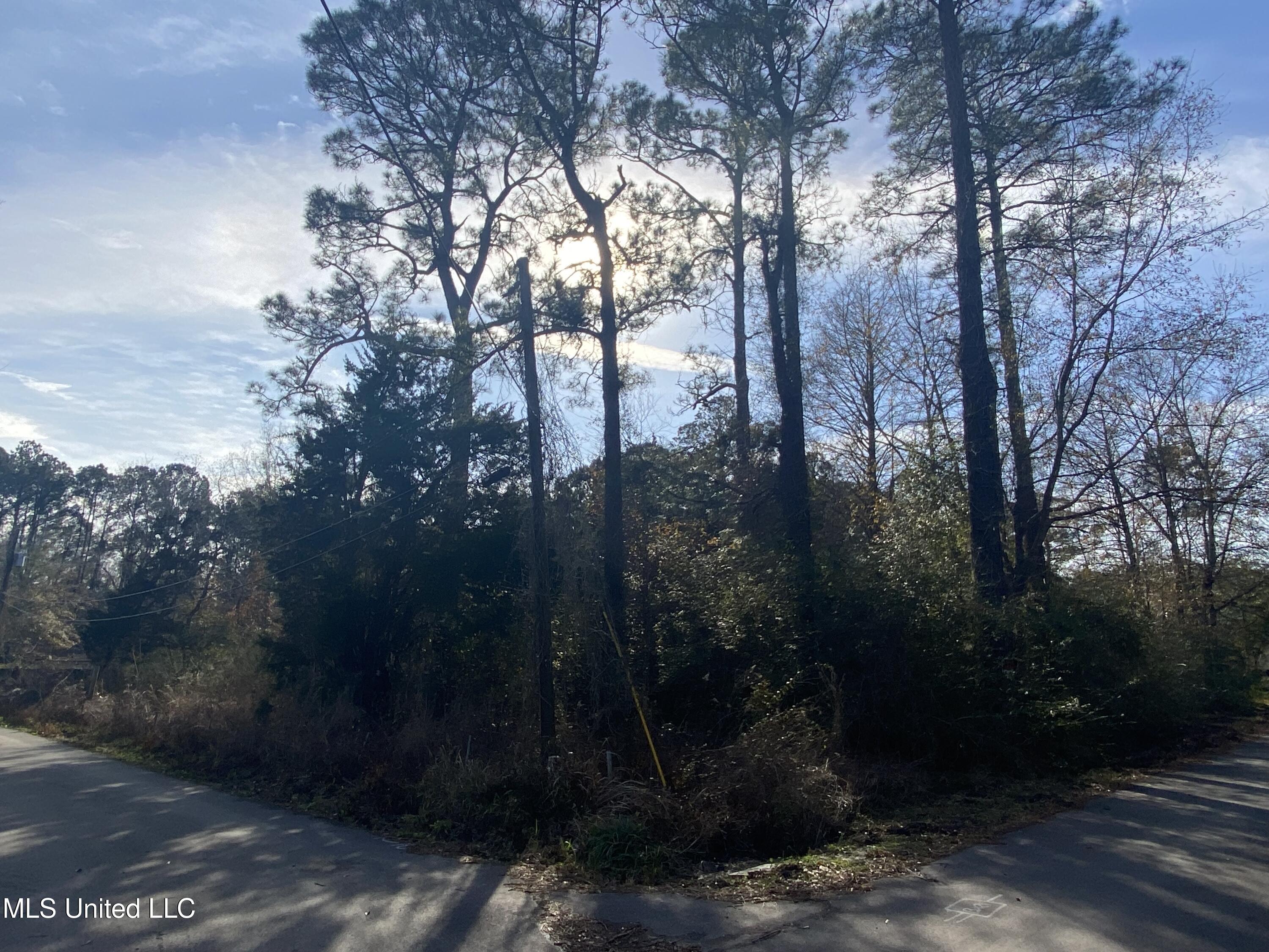 3616 Dale Lane Lane, Moss Point, Mississippi image 7