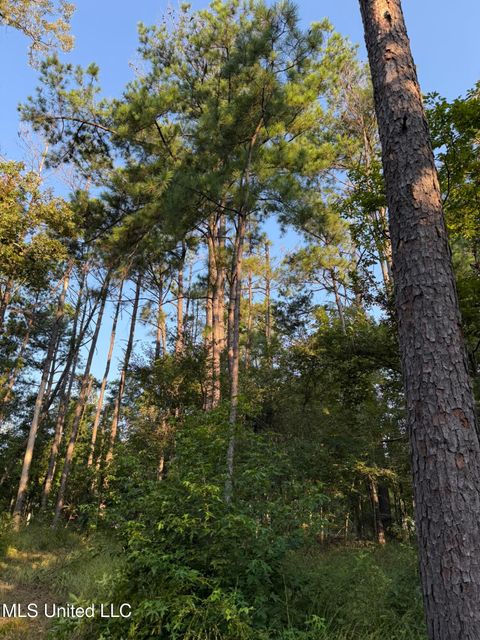 Vacant Land For Sale - Sumrall Road<br/> Copiah County, Crystal Springs, MS 39059