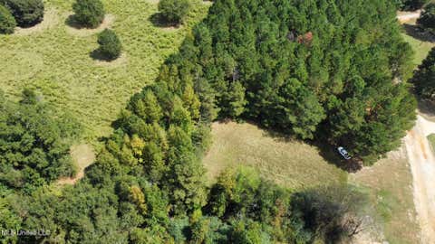 Vacant Land For Sale - 624 Caraway Road<br/> Hickory, MS 39332