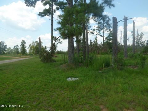 Vacant Land For Sale - 161 Old Holmesville Road<br/> Tylertown, MS 39667