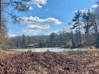 Vacant Land For Sale - LOT 11 Turkey Creek Road<br/> Adams County, Natchez, MS 39120