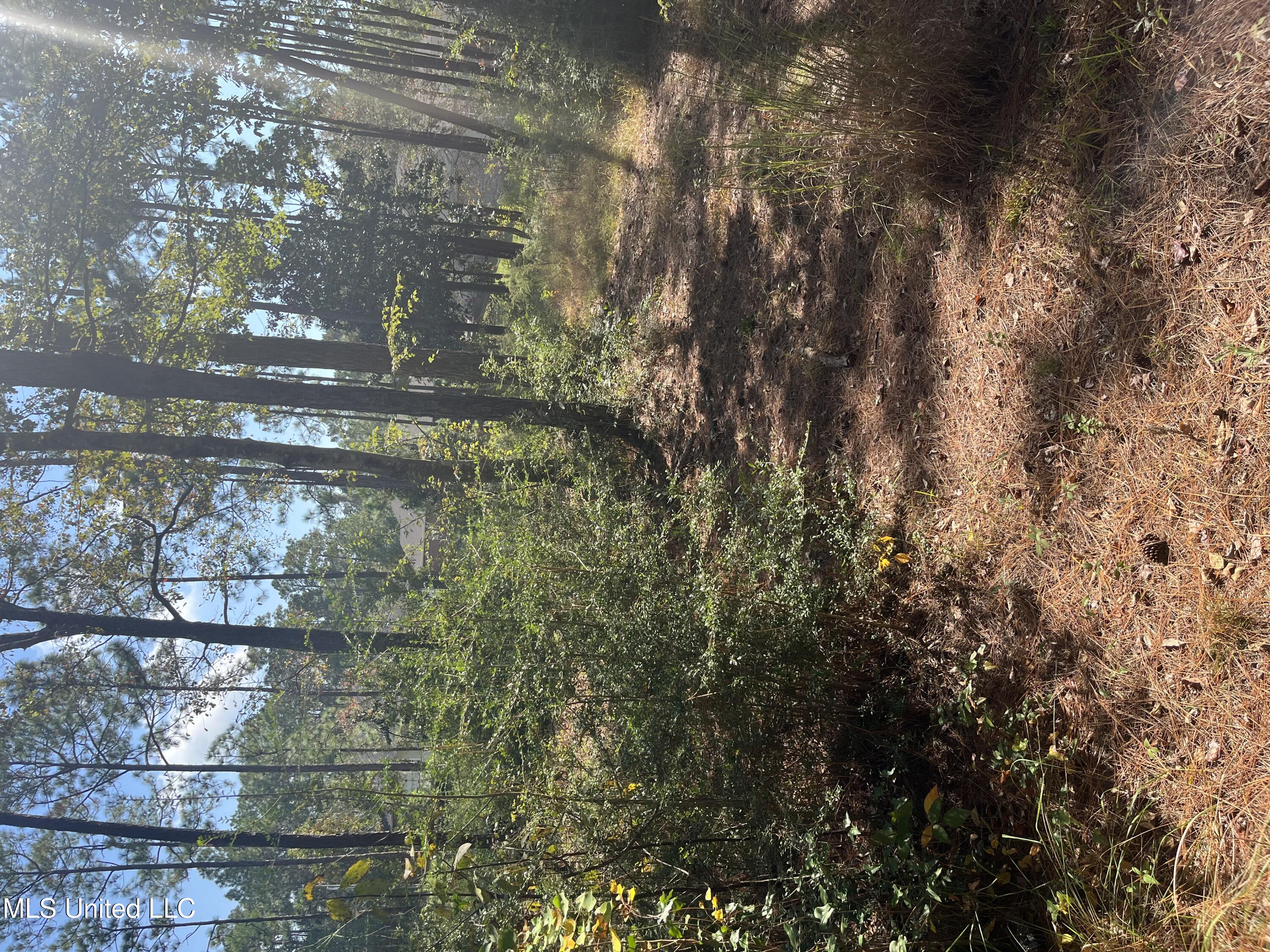 Lot 79&80 Windward Drive, Gautier, Mississippi image 1