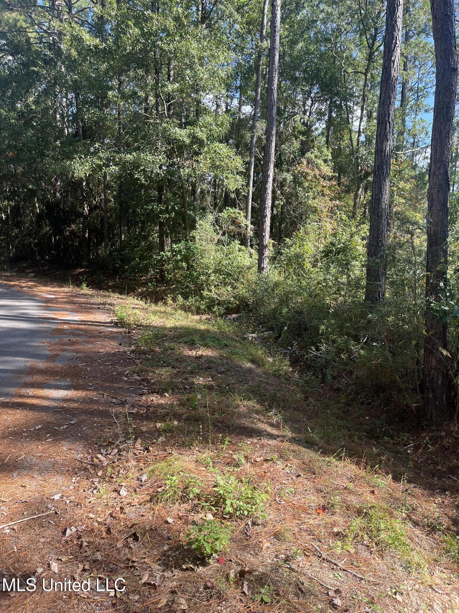 Lot 79&80 Windward Drive, Gautier, Mississippi image 3