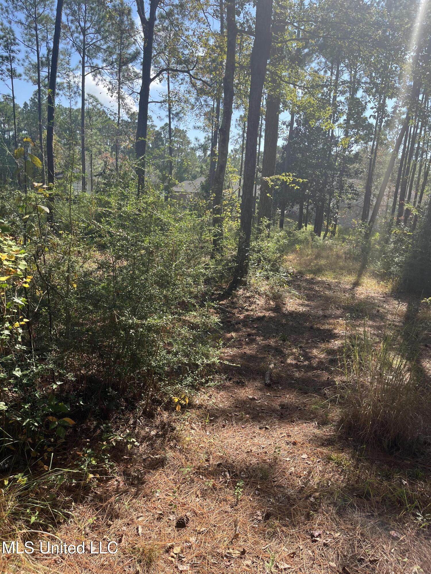 Lot 79&80 Windward Drive, Gautier, Mississippi image 4