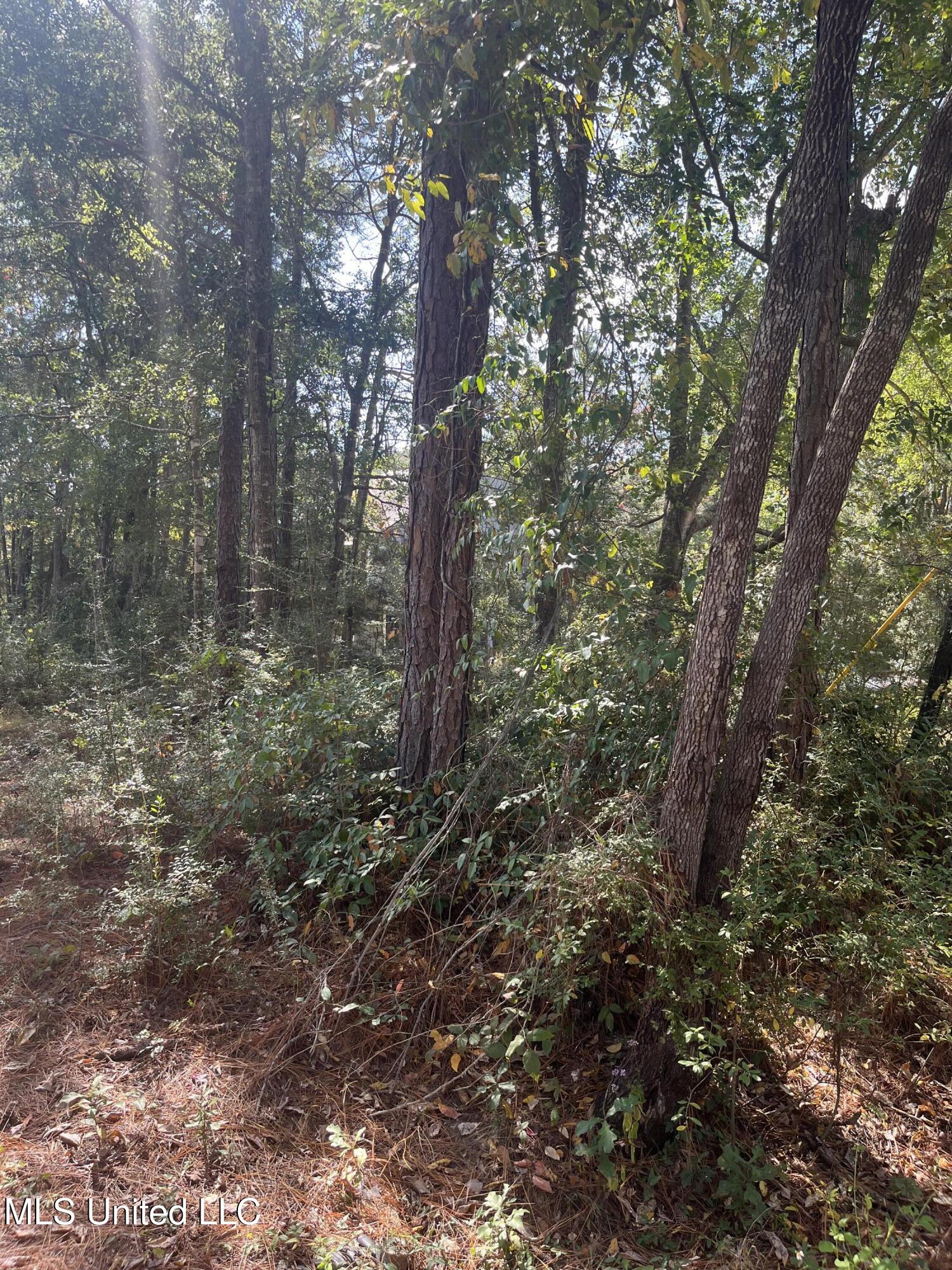 Lot 79&80 Windward Drive, Gautier, Mississippi image 5