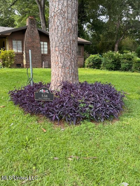 538 Will O Wisp Way, Jackson, Mississippi image 11