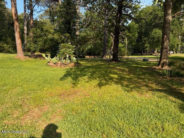 538 Will O Wisp Way, Jackson, Mississippi image 10