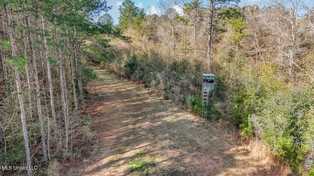 455 SW Allbritton Trail, Bogue Chitto, Mississippi image 29