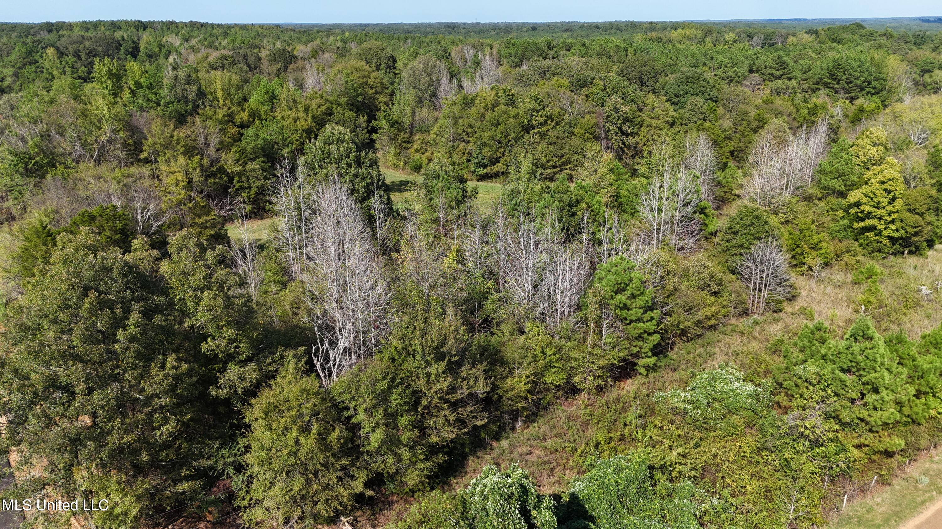 Tyro Branch Cove, Senatobia, Mississippi image 13