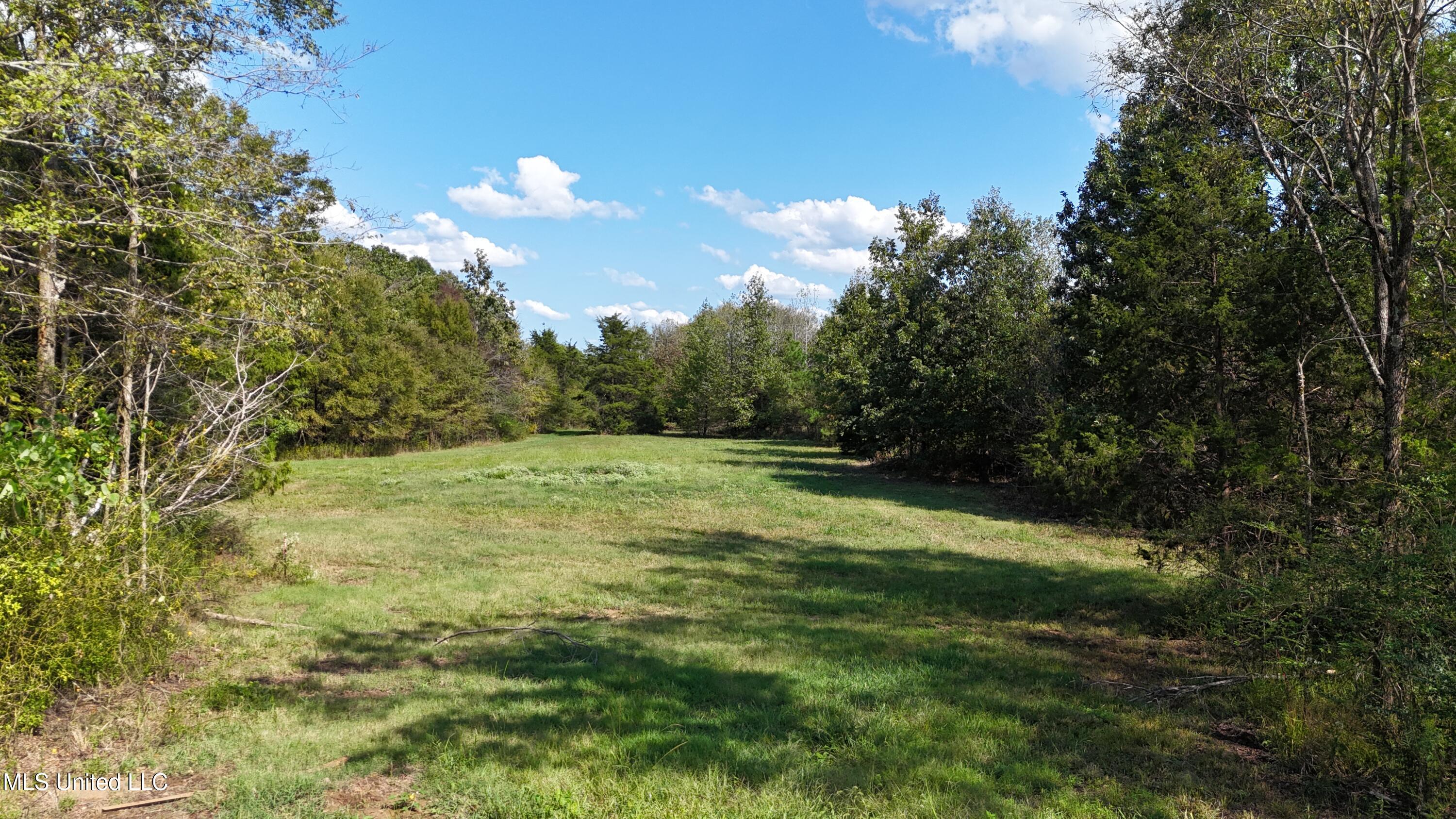 Tyro Branch Cove, Senatobia, Mississippi image 8