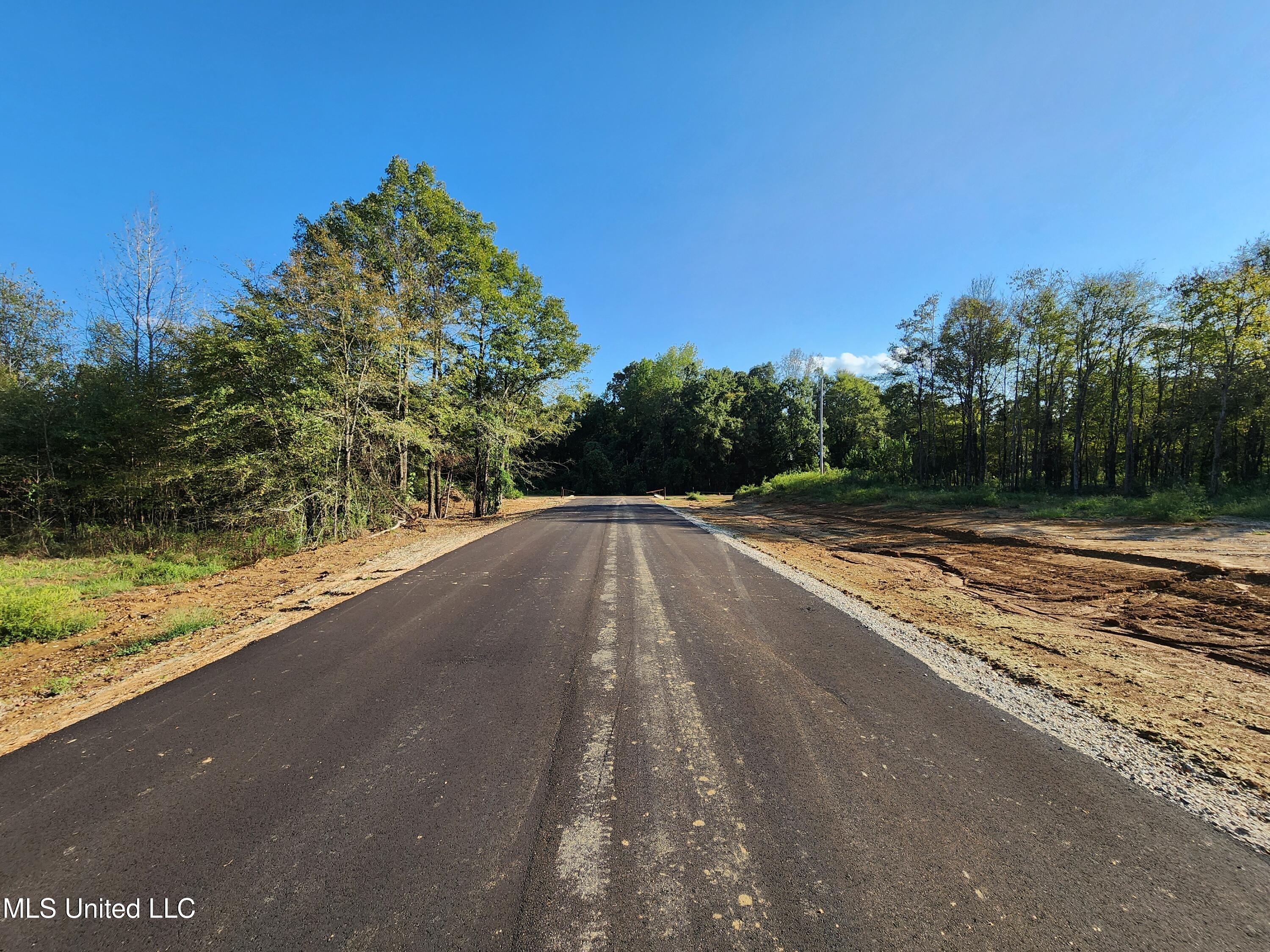 Tyro Branch Cove, Senatobia, Mississippi image 3