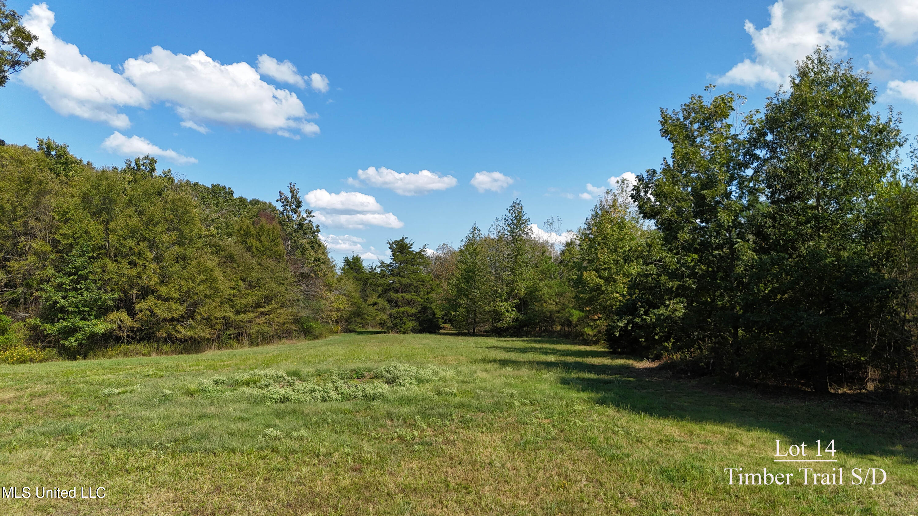 Tyro Branch Cove, Senatobia, Mississippi image 1