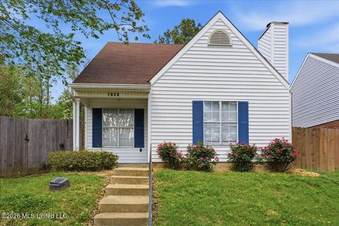 Homes For Sale - 7028 Copper Cove<br/> Madison County, Ridgeland, MS 39157