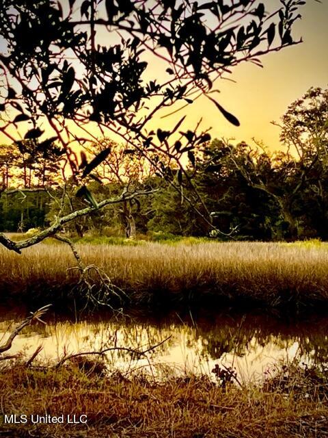 Gollott Road, Ocean Springs, Mississippi image 8