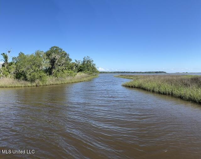 Gollott Road, Ocean Springs, Mississippi image 6