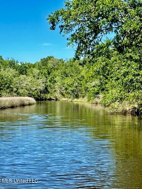 Gollott Road, Ocean Springs, Mississippi image 4