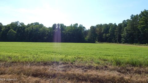 Vacant Land For Sale - 515 County Road 247 Country Road<br/> Bruce, MS 38915