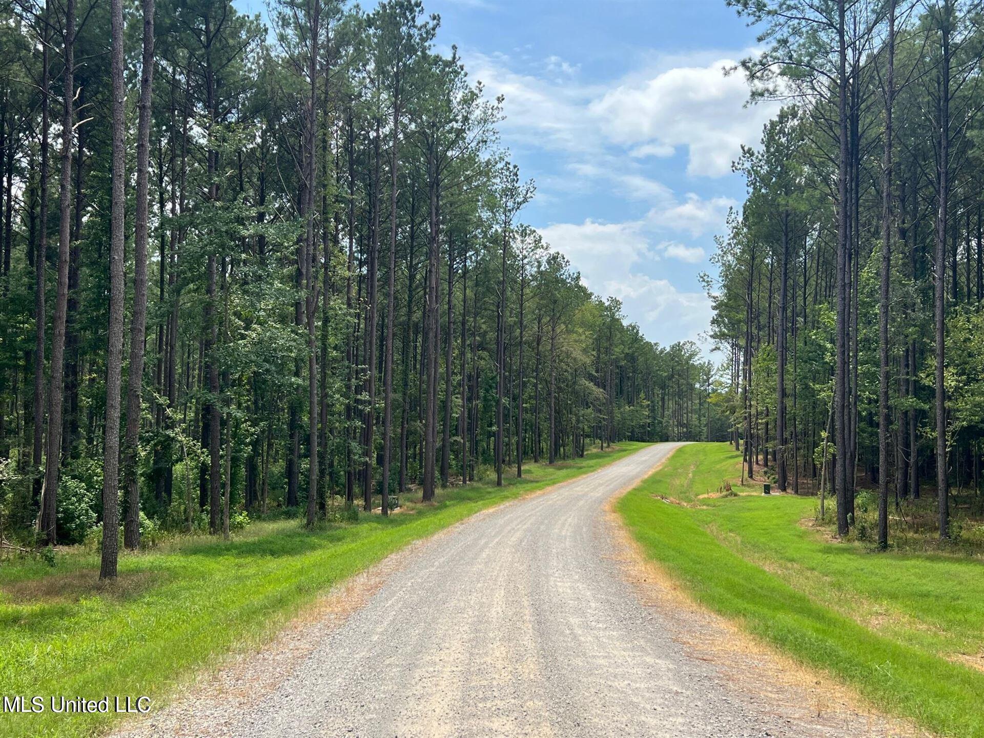 Springwood Trail, Flora, Mississippi image 1