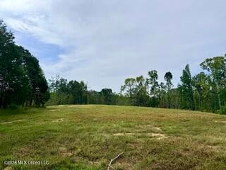 Vacant Land For Sale - 187 Highway 310<br/> Como, MS 38619