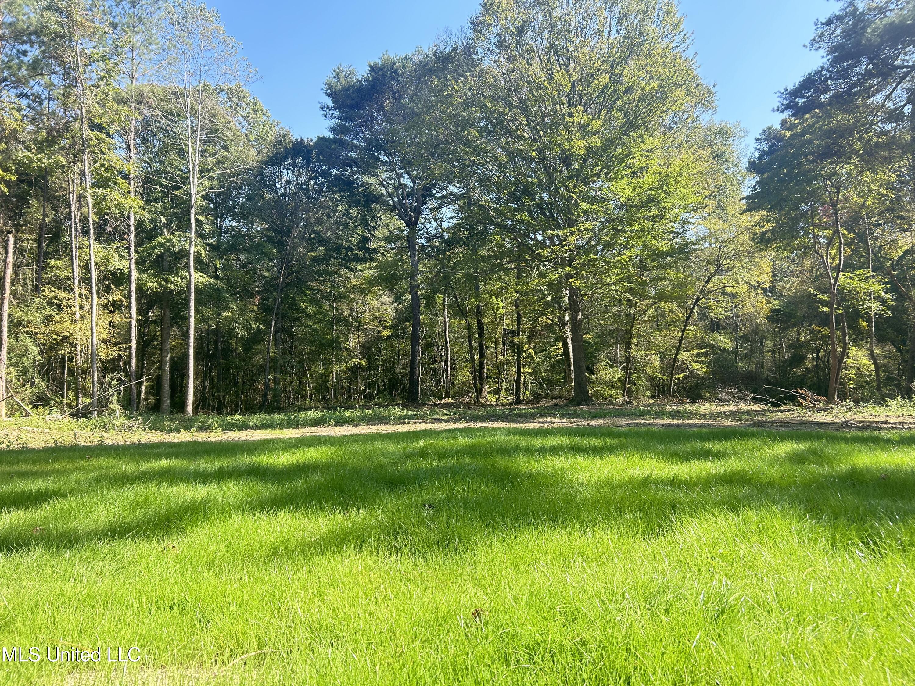 Rails Road, Georgetown, Mississippi image 2