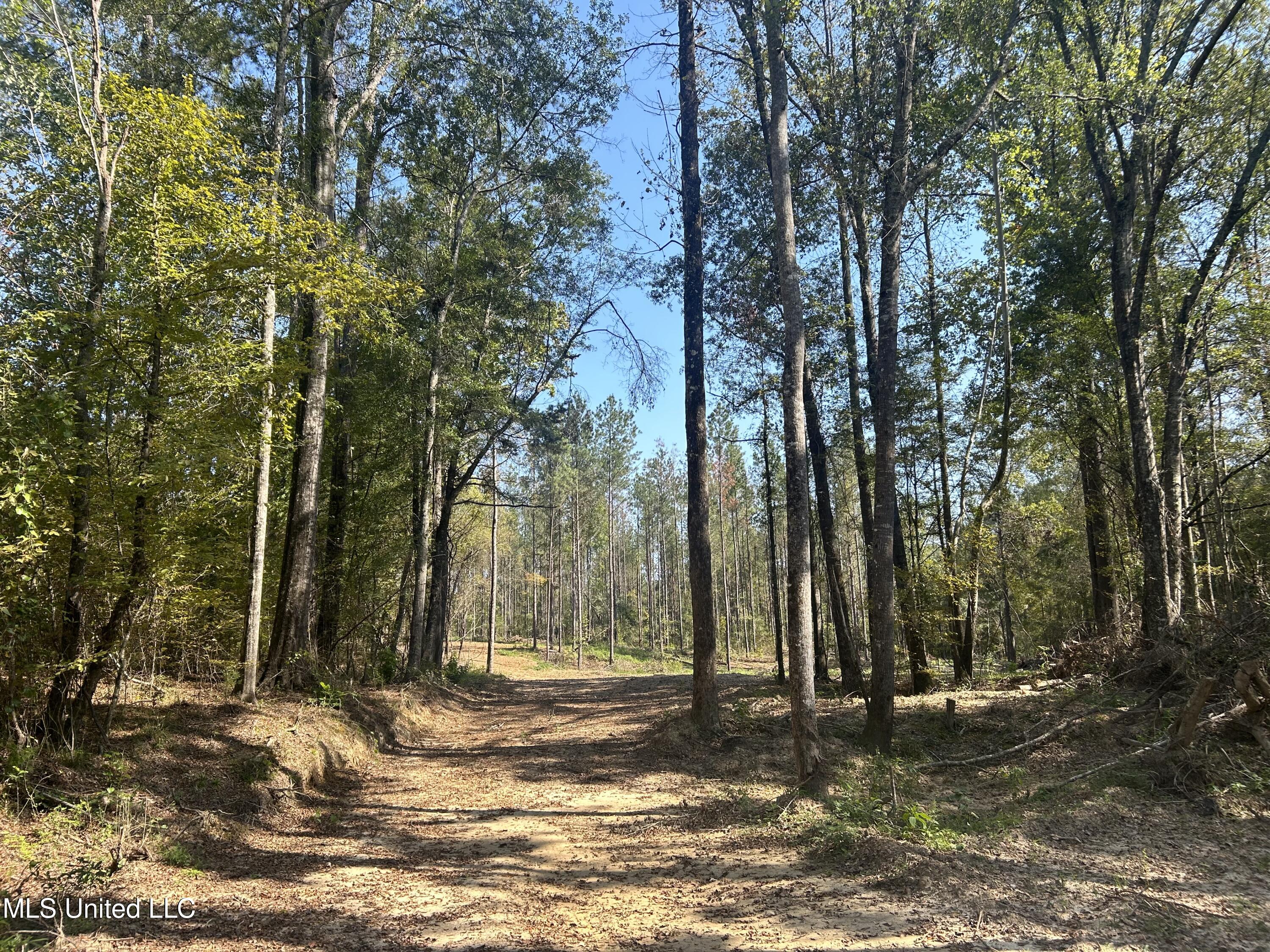 Rails Road, Georgetown, Mississippi image 1