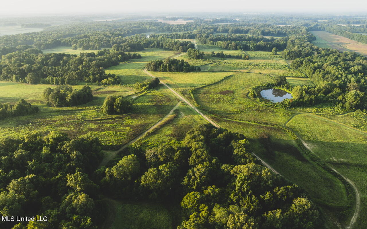 Vaughn Road, Benton, Mississippi image 9