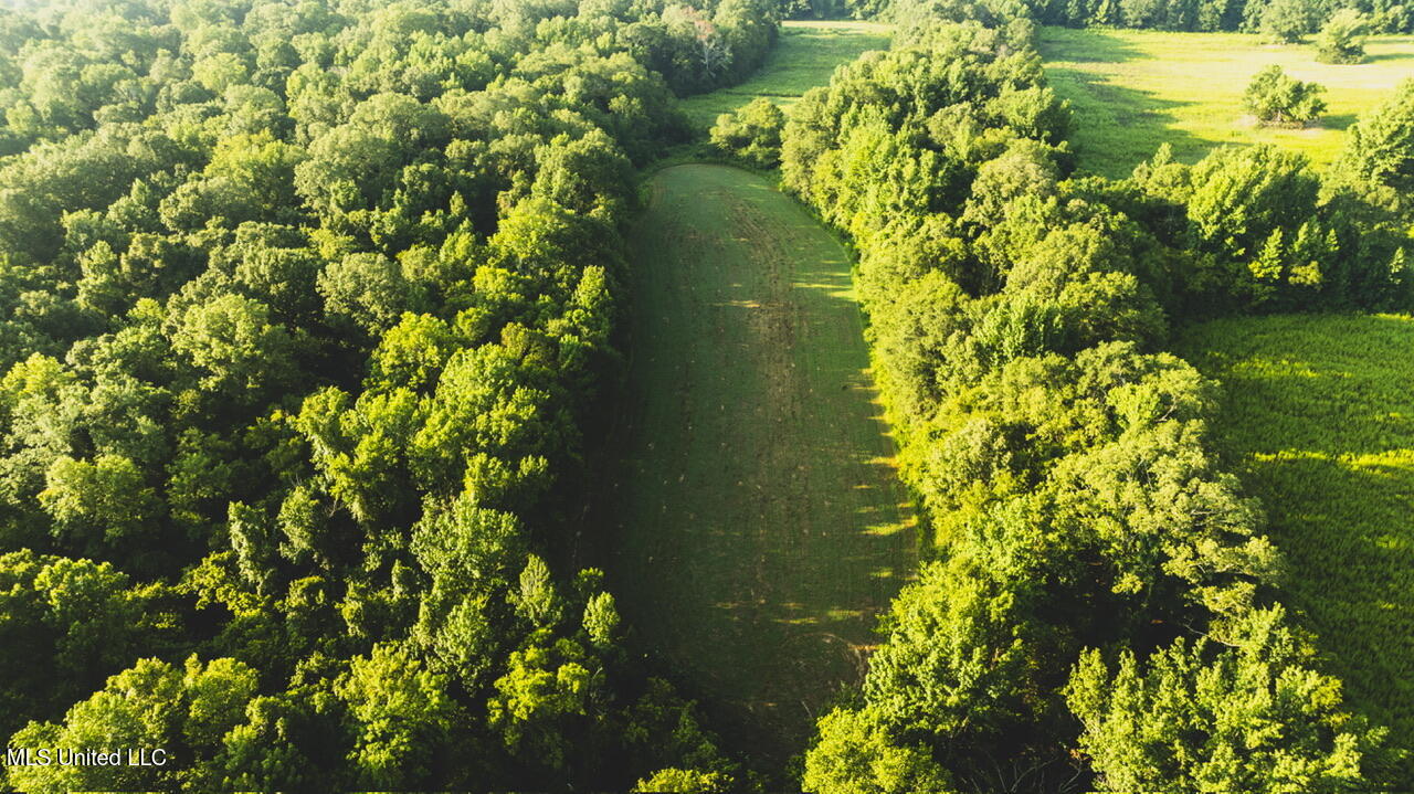 Vaughn Road, Benton, Mississippi image 7