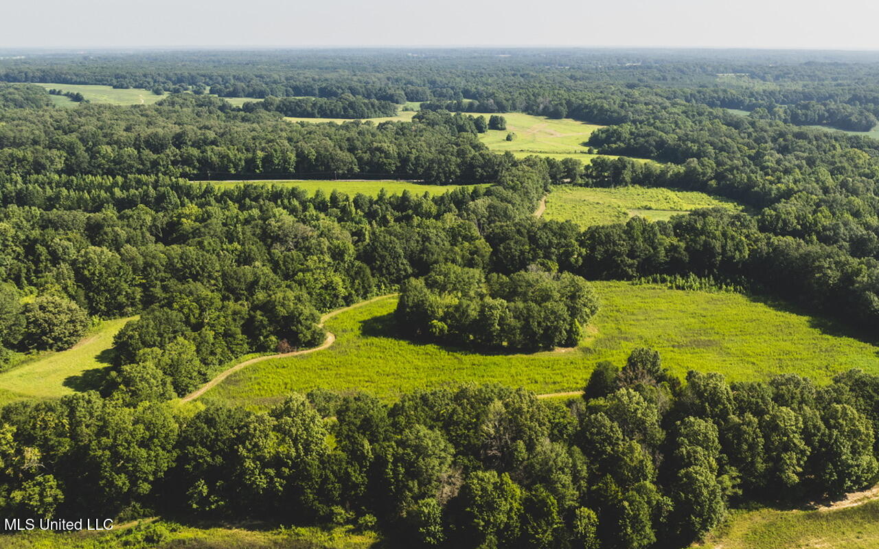 Vaughn Road, Benton, Mississippi image 2