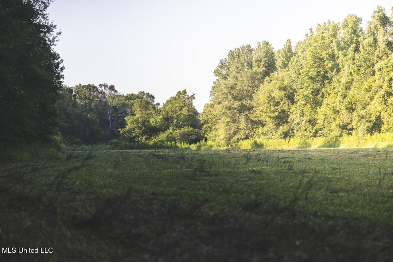 Vaughn Road, Benton, Mississippi image 37