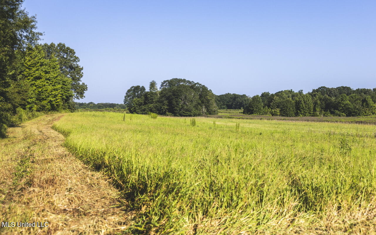 Vaughn Road, Benton, Mississippi image 31