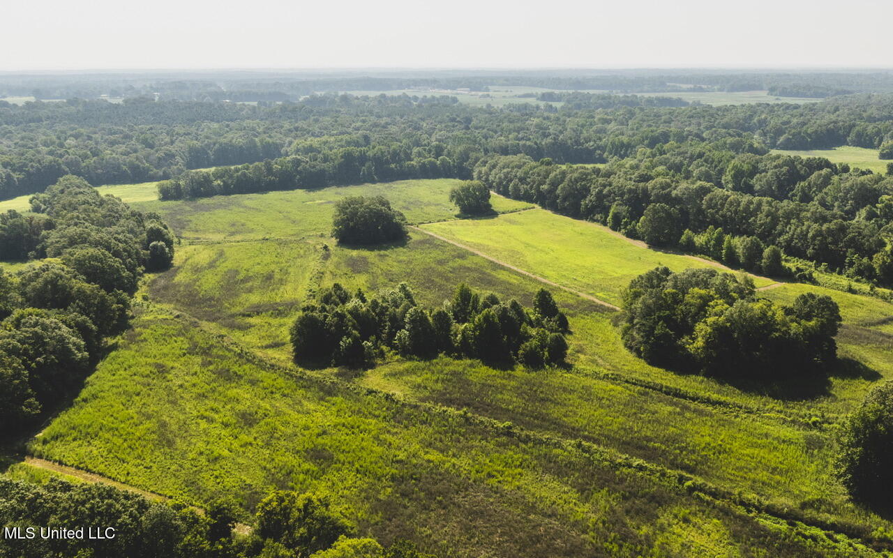 Vaughn Road, Benton, Mississippi image 6