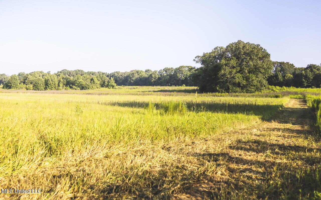 Vaughn Road, Benton, Mississippi image 32