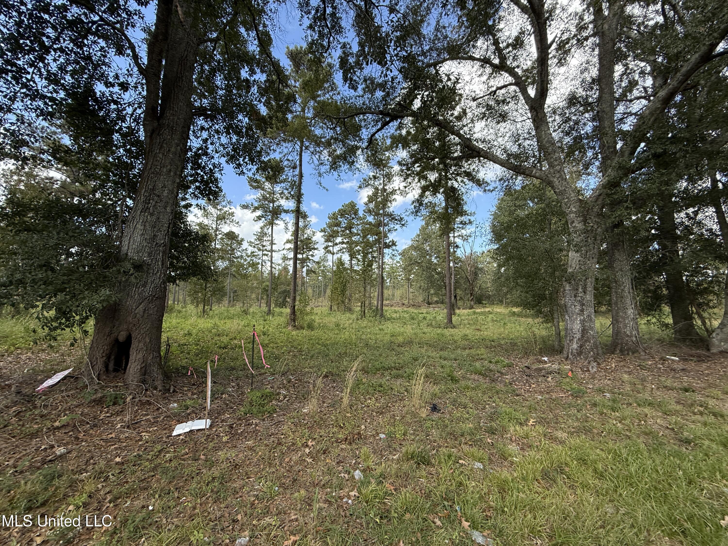 Lot 5 Hwy 33, Centreville, Mississippi image 4