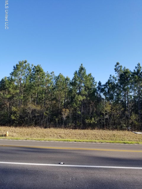 Vacant Land For Sale - New Highway 67 Highway<br/> Harrison County, Biloxi, MS 39532