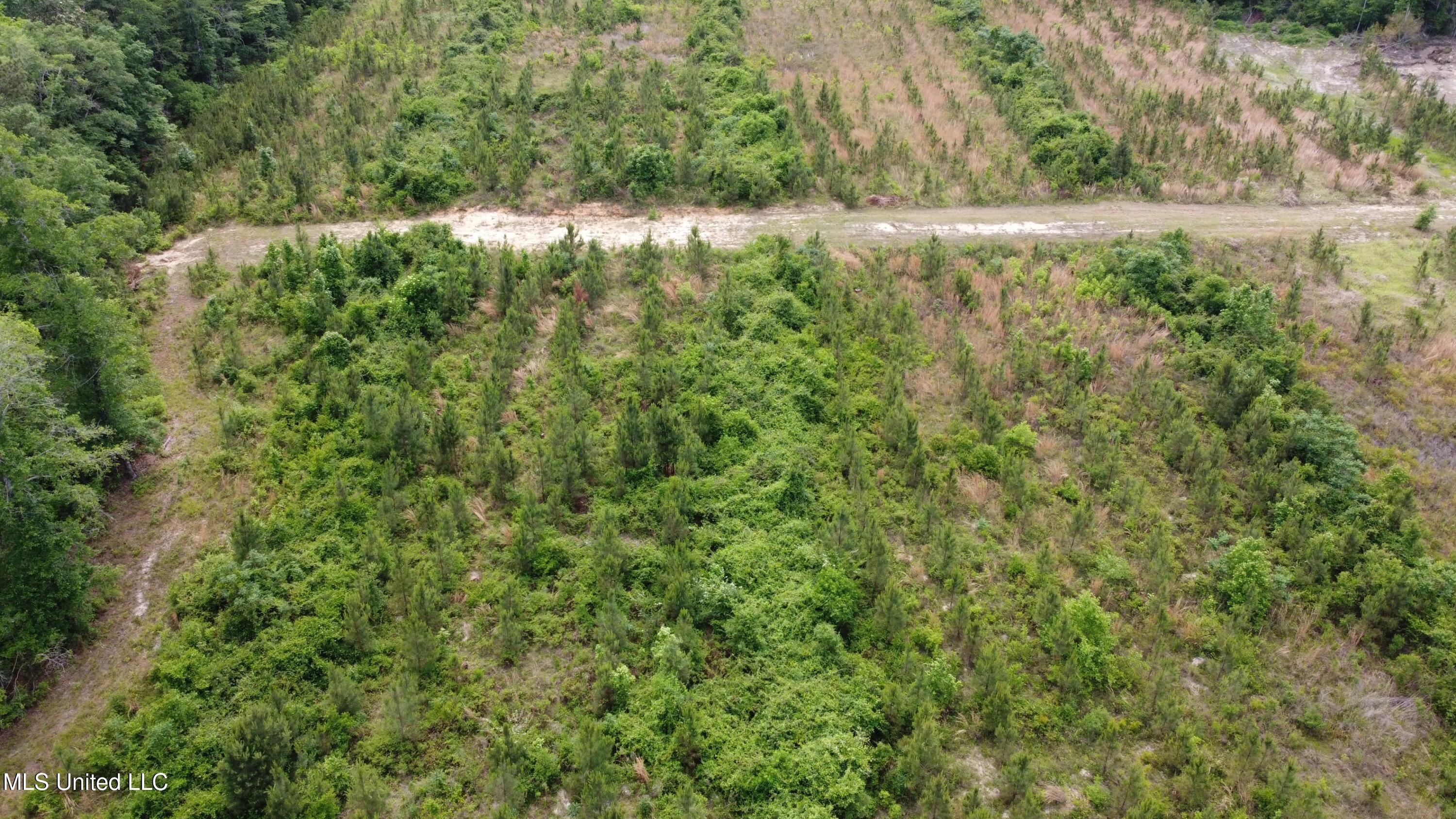 30 Ten Mile Road, Perkinston, Mississippi image 4
