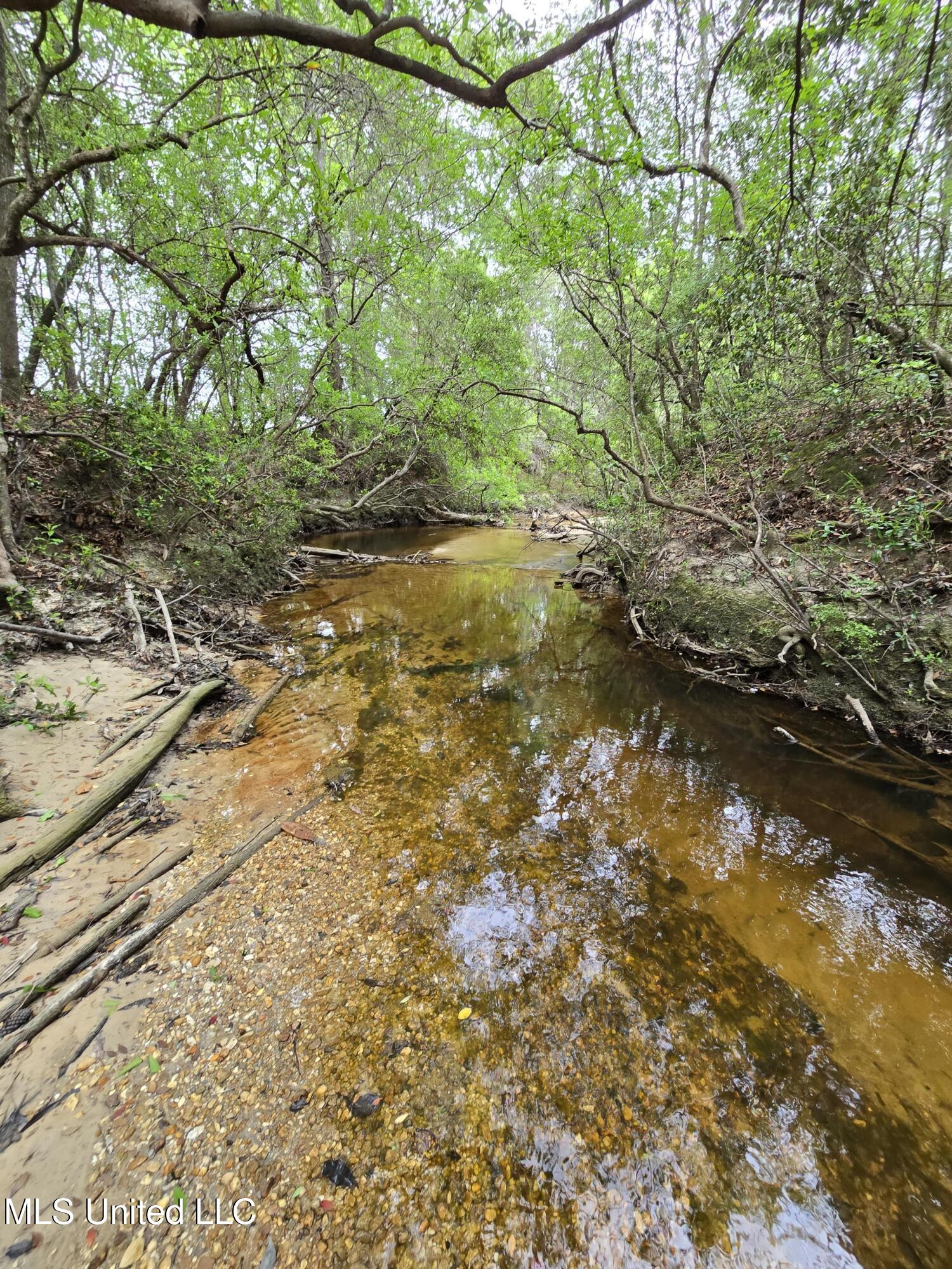 30 Ten Mile Road, Perkinston, Mississippi image 15
