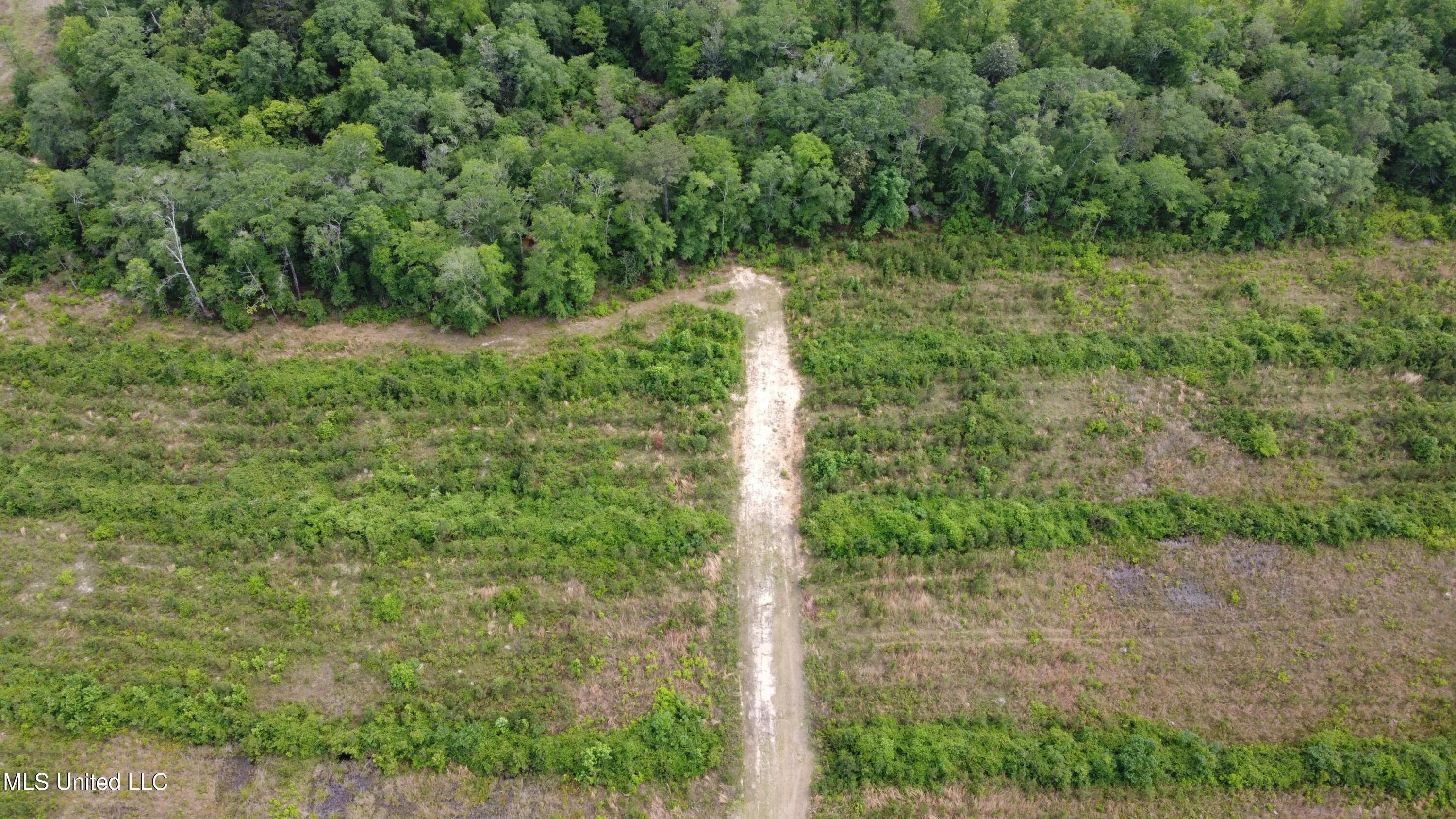 30 Ten Mile Road, Perkinston, Mississippi image 7