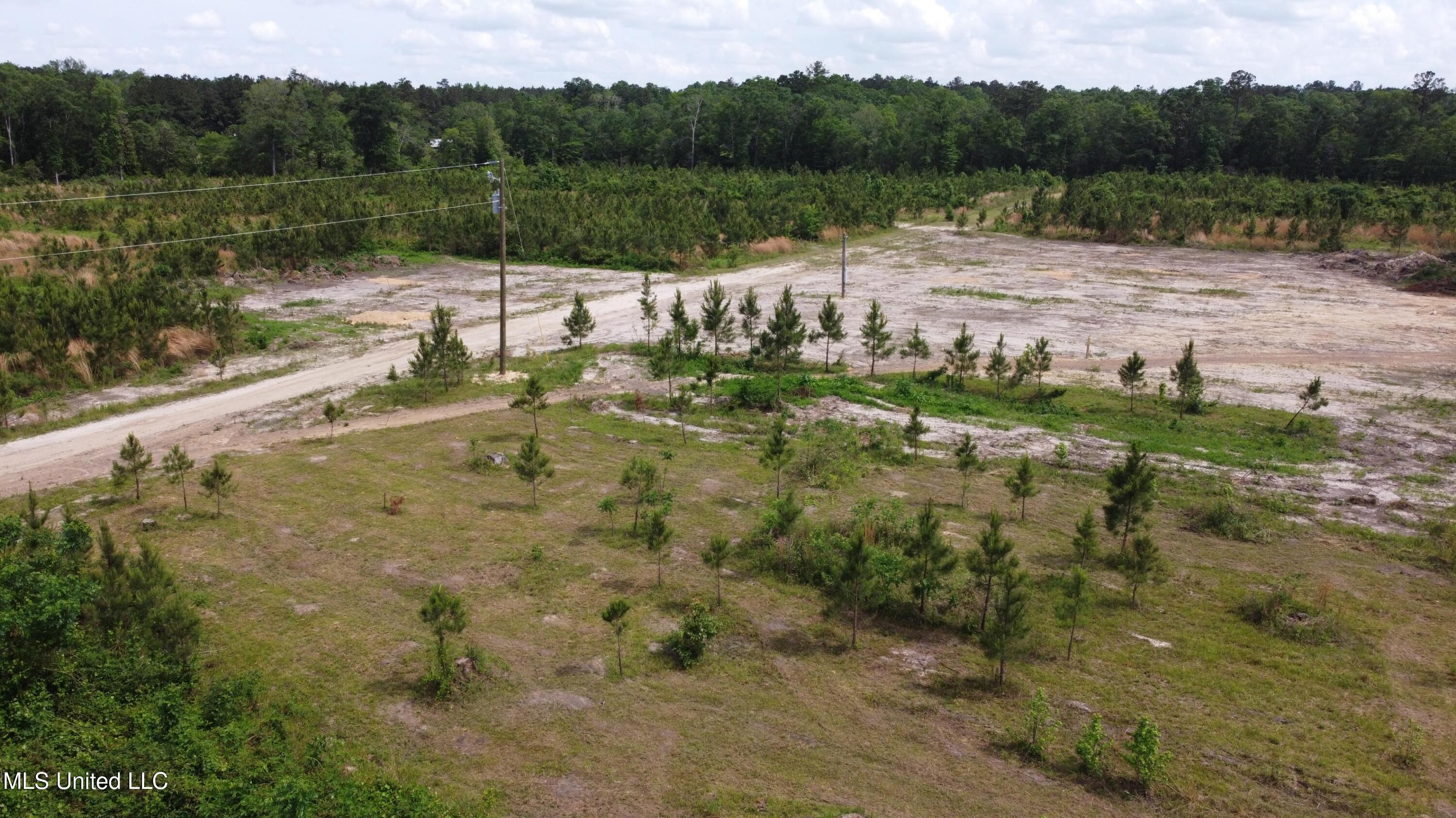 30 Ten Mile Road, Perkinston, Mississippi image 8
