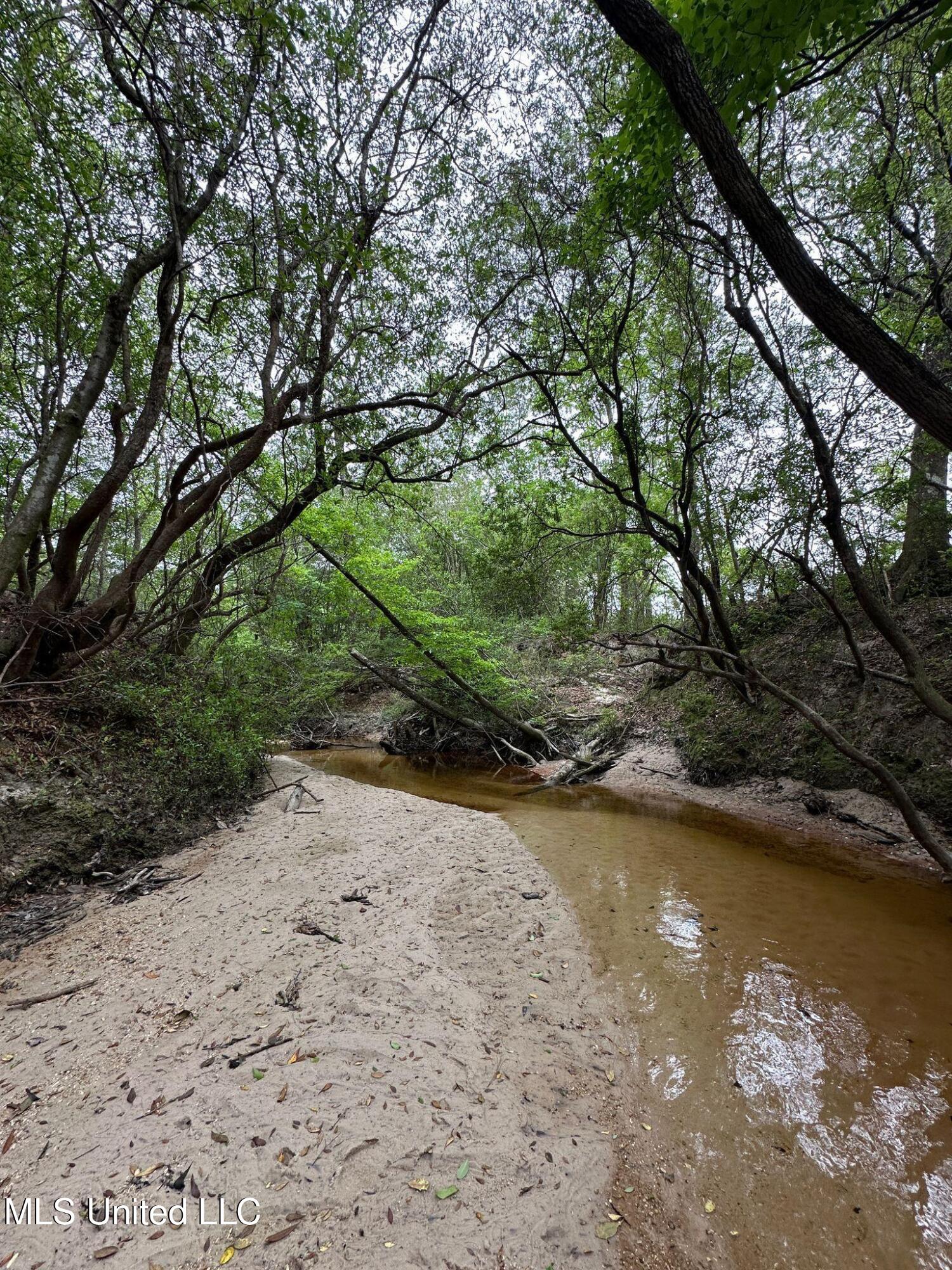 30 Ten Mile Road, Perkinston, Mississippi image 14