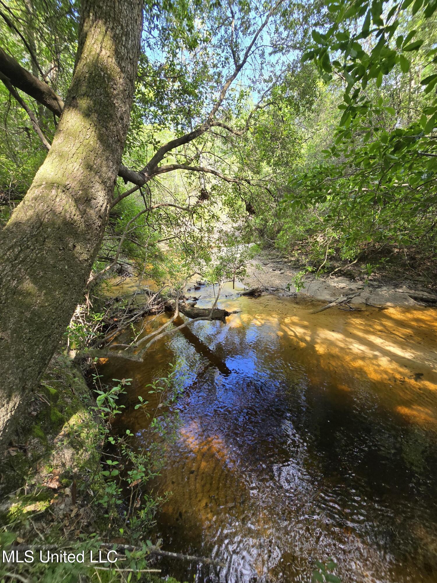 30 Ten Mile Road, Perkinston, Mississippi image 13